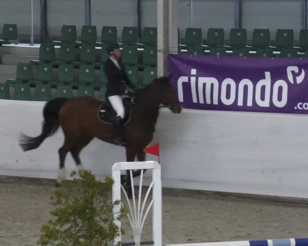 Reitturnier Zweibrücken - Halle 2025