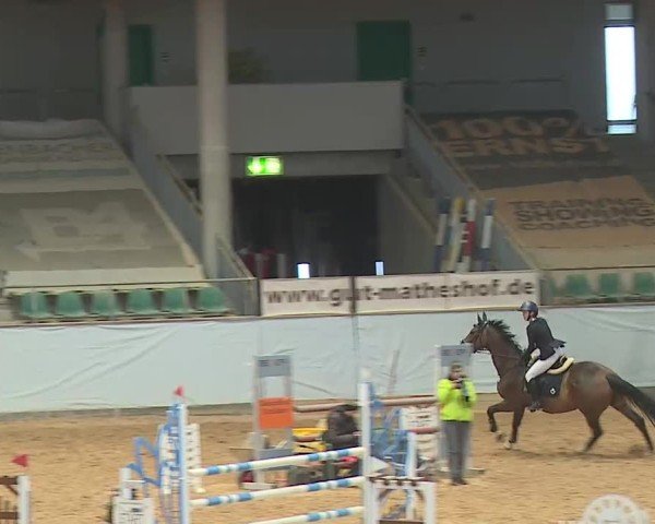 Reitturnier Kreuth/Opf. 2025