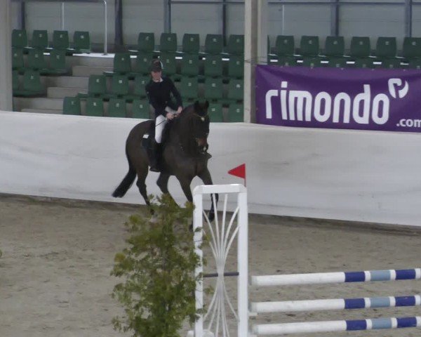 Reitturnier Zweibrücken - Halle 2025