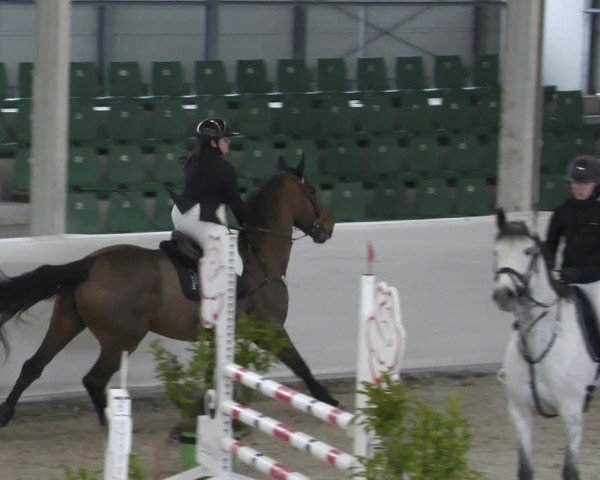 Reitturnier Zweibrücken - Halle 2025