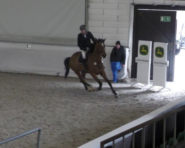 Reitturnier Zweibrücken - Halle 2025