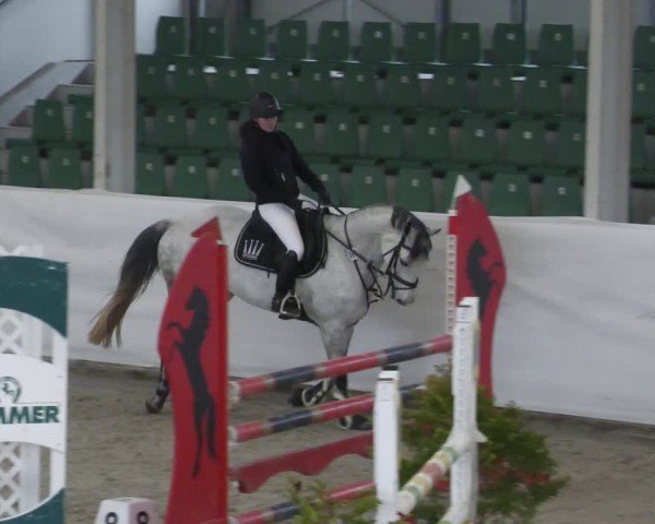 Reitturnier Zweibrücken - Halle 2025