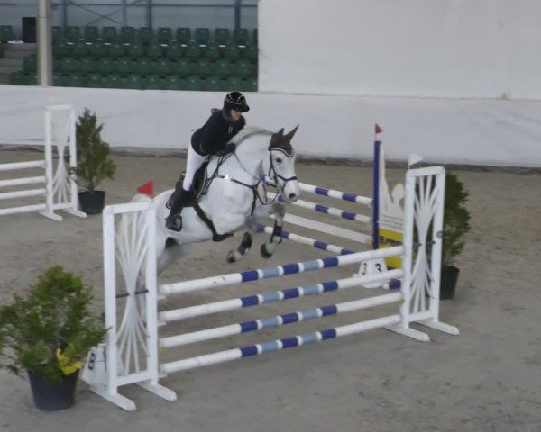 Reitturnier Zweibrücken - Halle 2025