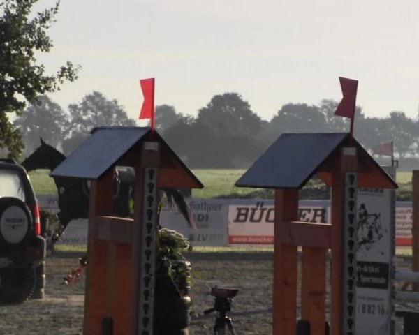 Reitstall Brinkmann 2013