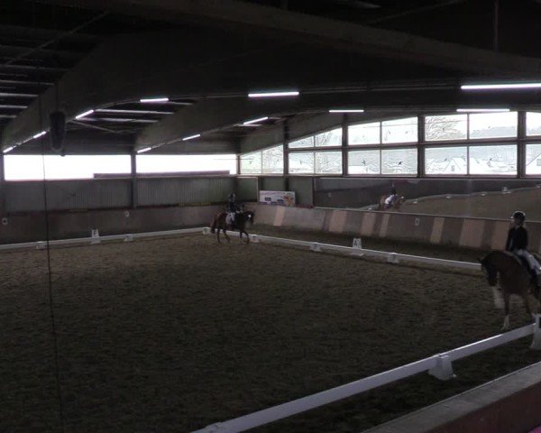 Reitturnier Sieversen - Rosengarten 2025