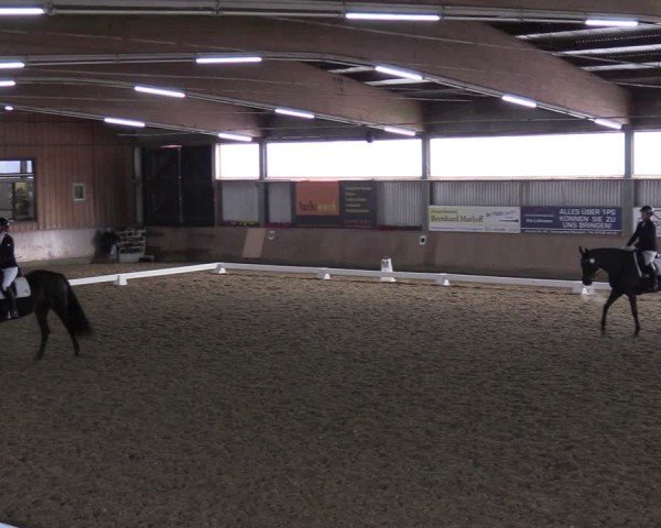 Reitturnier Sieversen - Rosengarten 2025