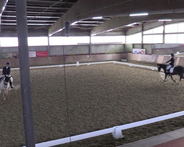 Reitturnier Sieversen - Rosengarten 2025