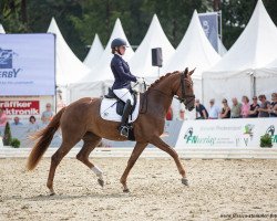 Dressurpferd Escala Gold (Oldenburger, 2018, von Belissimo NRW)