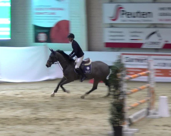 Reitturnier Borken 2025