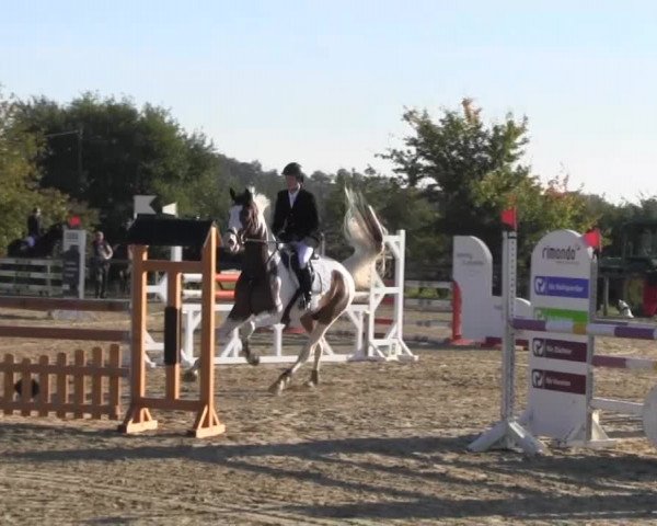 Reitstall Brinkmann 2013