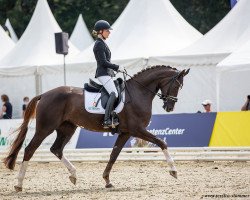 dressage horse Baroness Bibi NRW (Westphalian, 2018, from Callaho's Benicio)