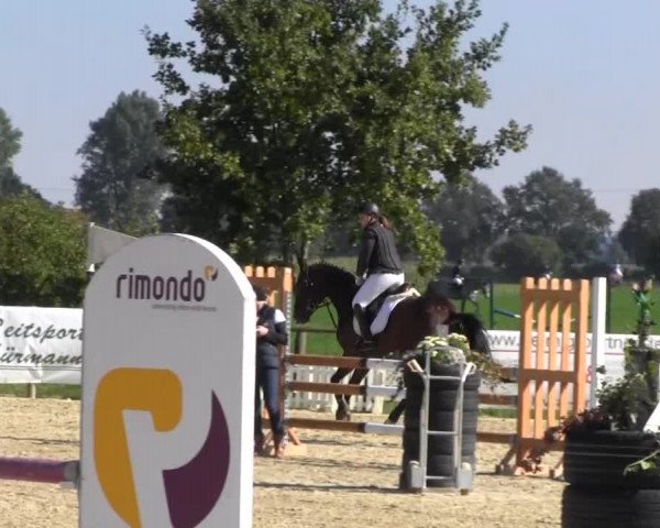 Reitstall Brinkmann 2013