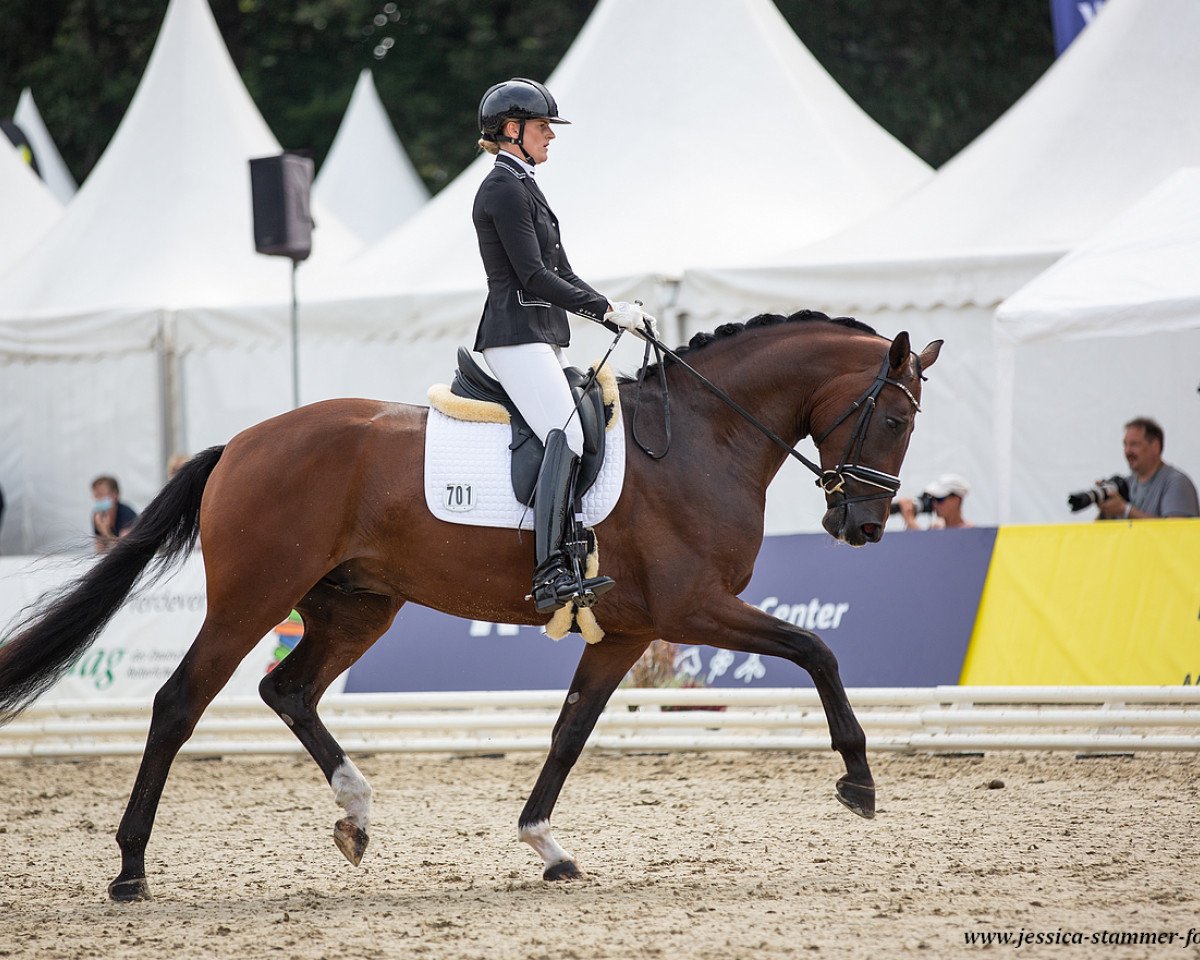 dressage horse So Dynamic (Hanoverian, 2018, from Secret)