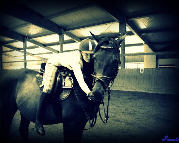 horse Nash Desert xx (Thoroughbred, 2006, from Next Desert xx)