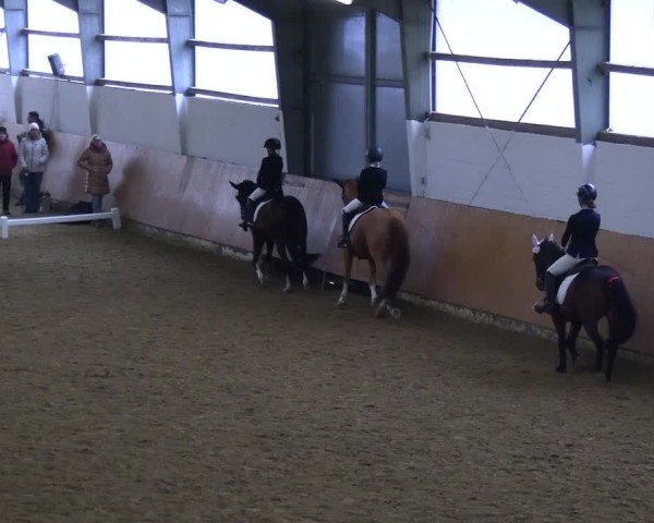 Reitturnier Datteln 2025
