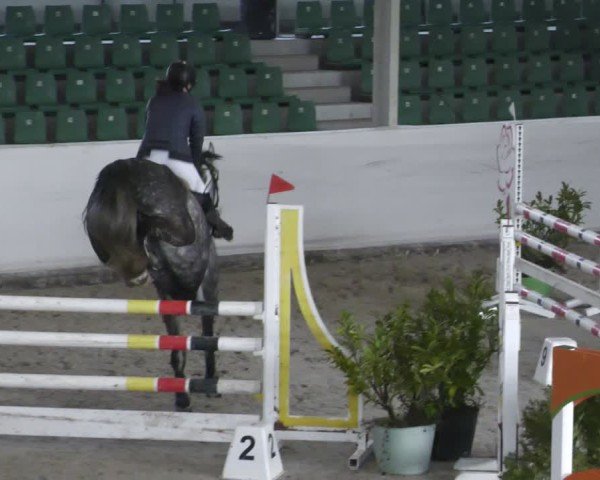 Reitturnier Zweibrücken - Halle 2025