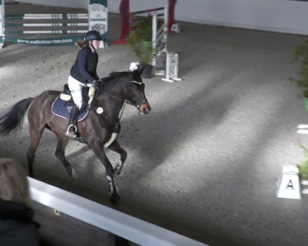 Reitturnier Zweibrücken - Halle 2025