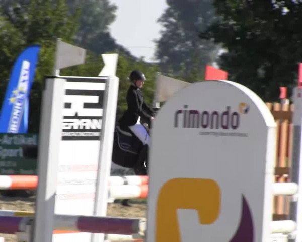 Reitstall Brinkmann 2013