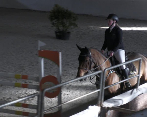 Reitturnier Zweibrücken - Halle 2025