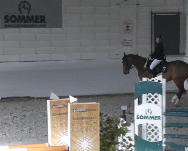 Reitturnier Zweibrücken - Halle 2025