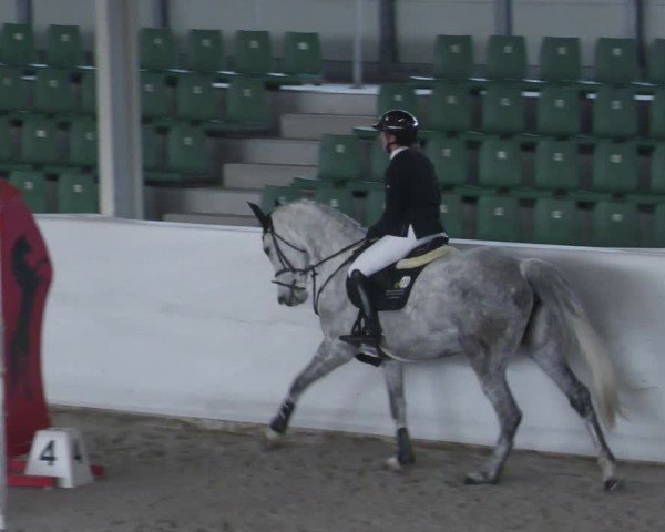 Reitturnier Zweibrücken - Halle 2025