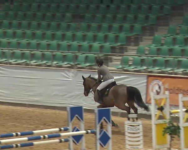 Reitturnier Kreuth/Opf. 2025