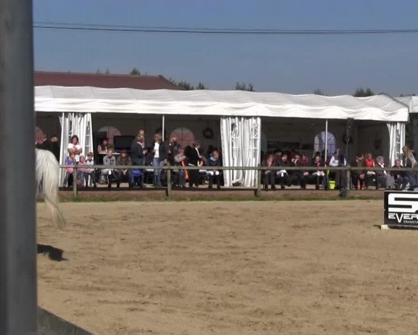 Reitstall Brinkmann 2013
