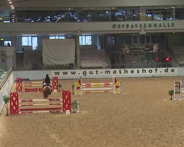 Reitturnier Kreuth/Opf. 2025