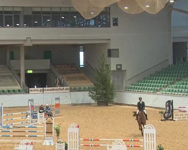Reitturnier Kreuth/Opf. 2025