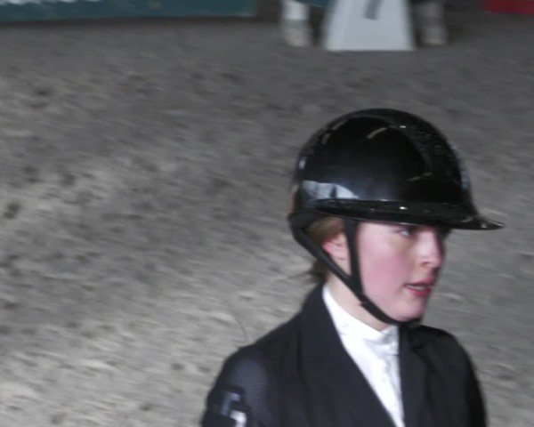 Reitturnier Zweibrücken - Halle 2025