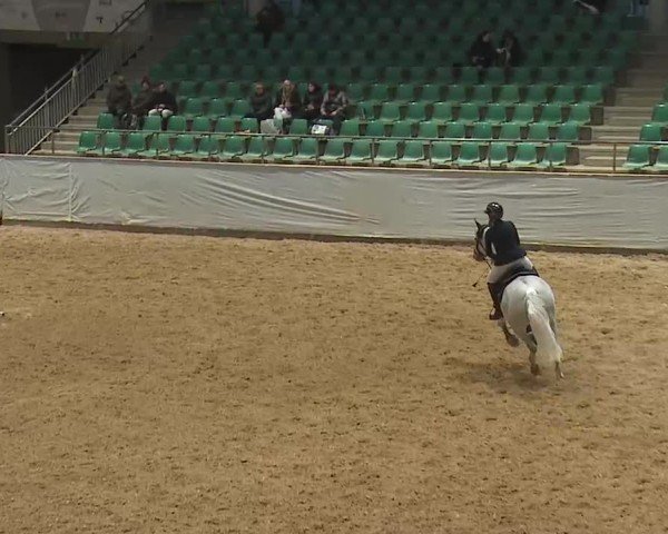 Reitturnier Kreuth/Opf. 2025