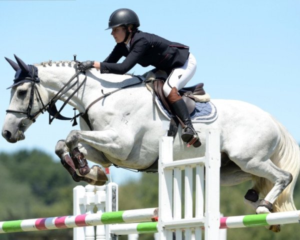 jumper Balboa (New Zealand Warmblood, 2010, from Orlando van de Heffinck)