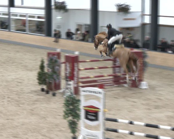 Reitturnier Borken (Hessen) 2025