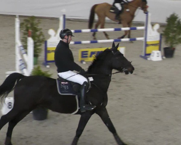 Reitturnier Zweibrücken - Halle 2025