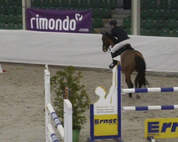 Reitturnier Zweibrücken - Halle 2025