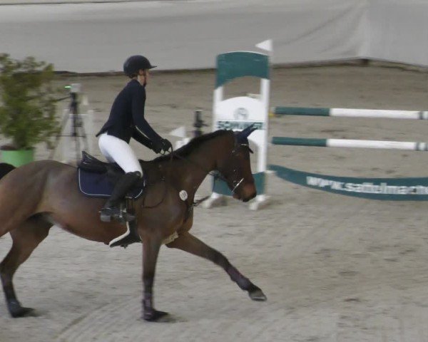Reitturnier Zweibrücken - Halle 2025