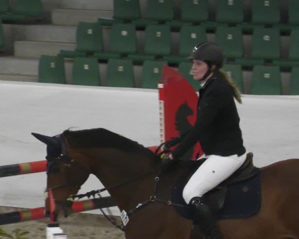 Reitturnier Zweibrücken - Halle 2025