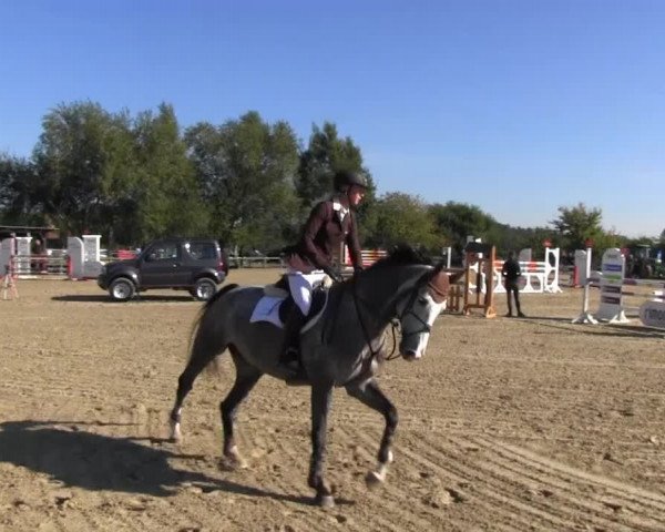 Reitstall Brinkmann 2013