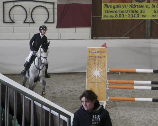 Reitturnier Zweibrücken - Halle 2025