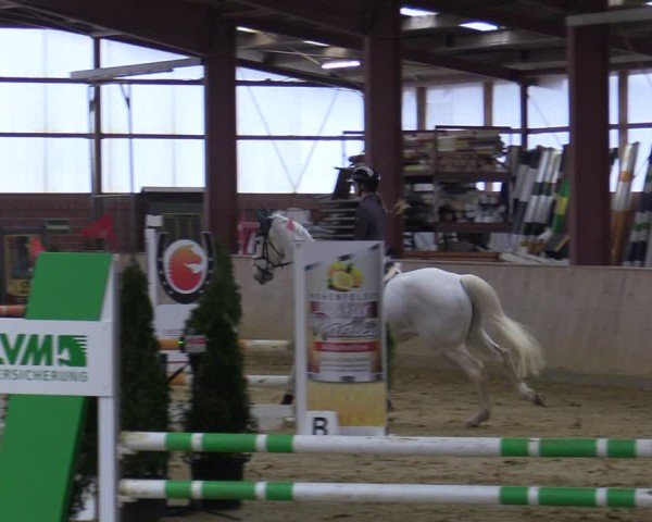 Reitturnier Ostenfelde-Vornholz 2025