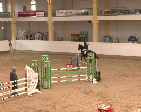 Reitturnier Stadl-Paura 2025
