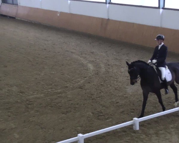 Reitturnier Datteln 2025