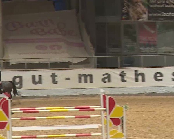 Reitturnier Kreuth/Opf. 2025