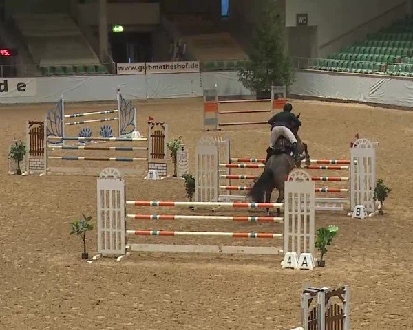 Reitturnier Kreuth/Opf. 2025