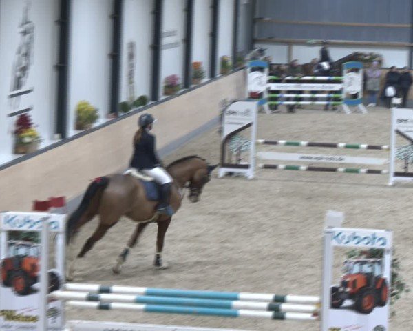 Reitturnier Borken (Hessen) 2025