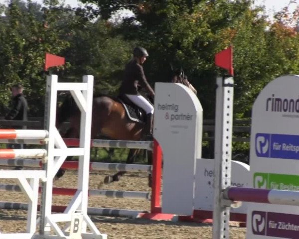 Reitstall Brinkmann 2013