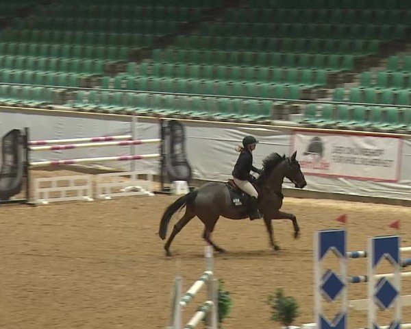 Reitturnier Kreuth/Opf. 2025
