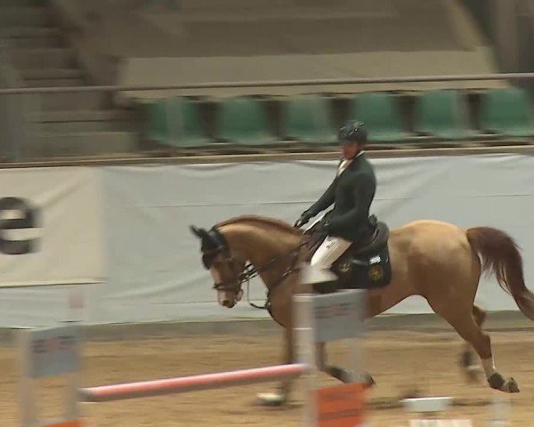 Reitturnier Kreuth/Opf. 2025