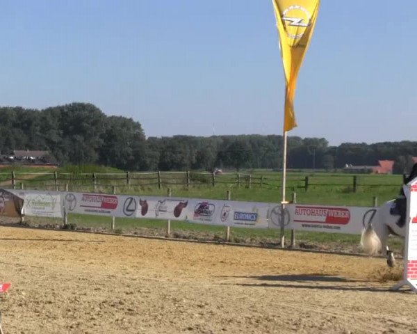 Reitstall Brinkmann 2013