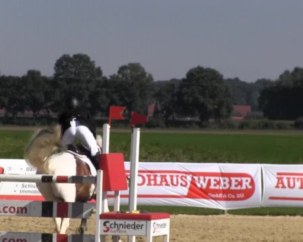 Reitstall Brinkmann 2013